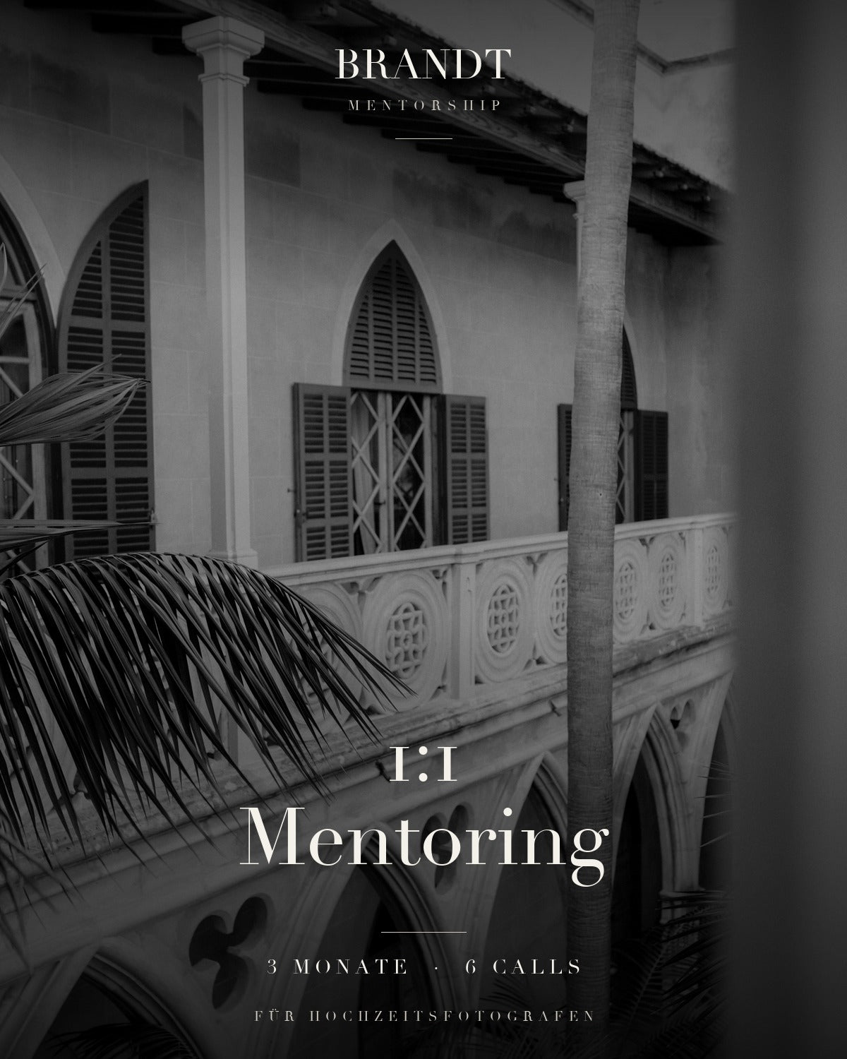 1:1-Mentoring für Hochzeitsfotografen (3 Monate)